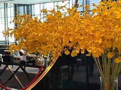 -长沙尼依格罗酒店