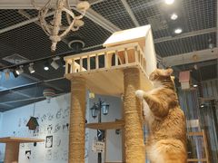 -小时光咖啡馆(开森度假森林店)
