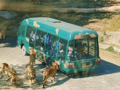 -深圳野生动物园