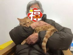 -北京观赏动物医院·24小时大型综合·猫专科·异宠专科