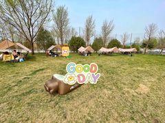 -TIPPI营地 房车主题·露营烧烤团建轰趴(天安假日店)