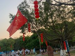 -番禺大夫山森林公园