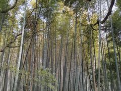 -同里国家湿地公园