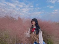 -三圣花乡旅游区