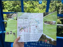 -野象谷景区