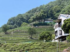 -龙井壹号·茶缘山景宴(龙井村店)