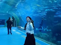 -哈尔滨波塞冬海底世界