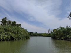 -泗洪洪泽湖湿地景区