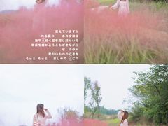 -白鹭湾湿地公园