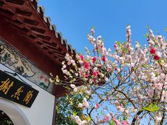 -南汇桃花村