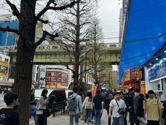 -秋叶原电器街