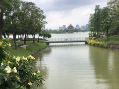-顺峰山公园