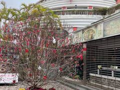 -沙河粉村·国家非遗传承(云台店)