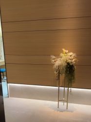 -恒美雅轩·品牌直营连锁