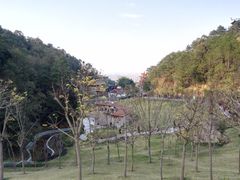 -神光山国家森林公园