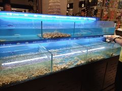 -太湖饭店·寄畅轩中餐厅