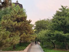 -玲珑塔公园