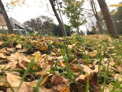 -贵阳市花溪国家城市湿地公园