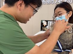 -瑞鹏宠物医院·骨外科·心肾科·肿瘤科(九亭店)