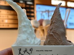 -野人先生现做冰淇淋(北京环宇荟店)
