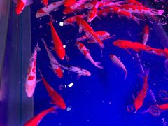 -三旗百汇商品城