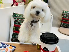 -Fulu Coffee福禄(花园城店)