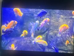 -嘉兴海底世界