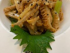 麻辣金钱肚丝-点都德(汇盈广场店)