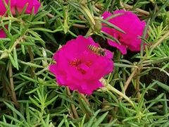 -映月湖公园