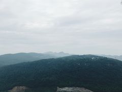 -铁山坪森林公园