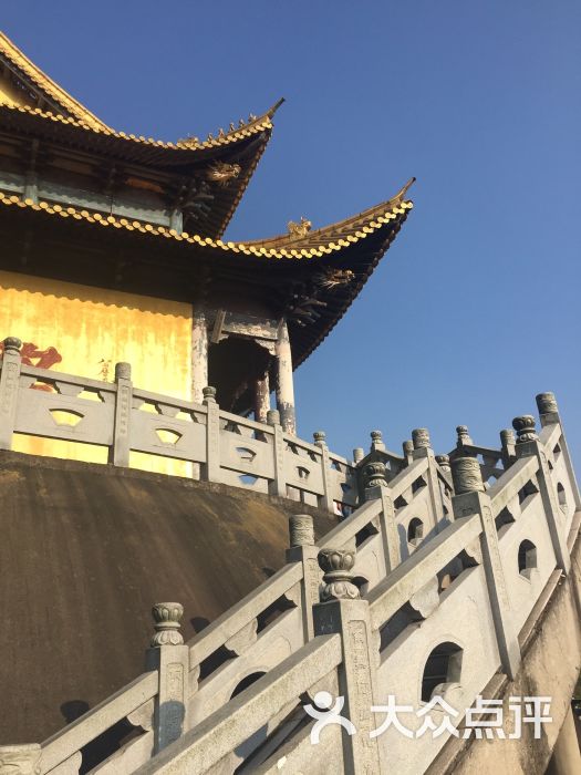 无想寺森林公园图片 - 第8张