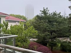 -上海虹桥迎宾馆