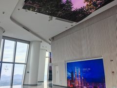 -平安金融中心云际观光层