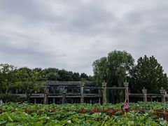 -大明幻境第一城
