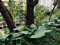 -乌山风景区