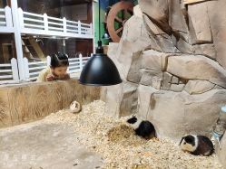 -宝燕乐园(闵行旗舰店)