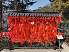 -信号山公园
