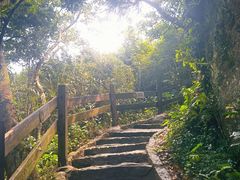 -海南铜鼓岭景区