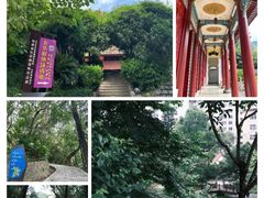 -郑和公园