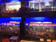 -陶陶居海鲜酒家(新马路店)