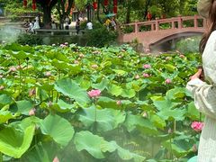 -广州莲花山旅游区