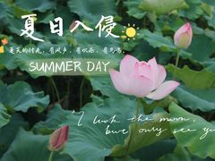 -红山村