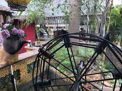 -园林美食城·本土农家菜(杨和镇店)