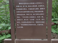 -阳台山自然风景区