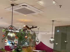 -九鼎轩脆毛肚火锅(三钢里店)