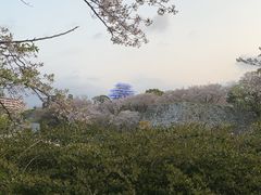 -舞鹤公园