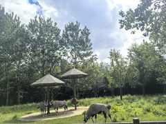 -大连森林动物园