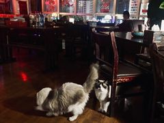 -南京天堂隔壁酒吧