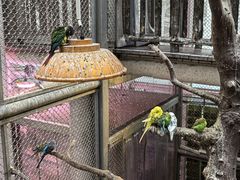 -正佳雨林生态植物园