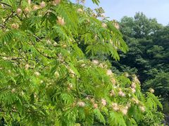 -陶祖圣境风景区